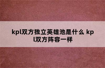 kpl双方独立英雄池是什么 kpl双方阵容一样